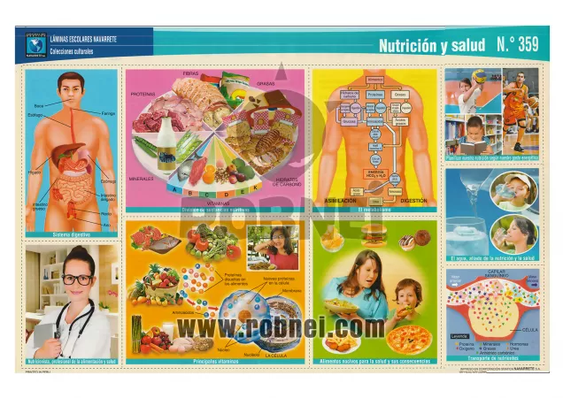 Nutricion Y Salud